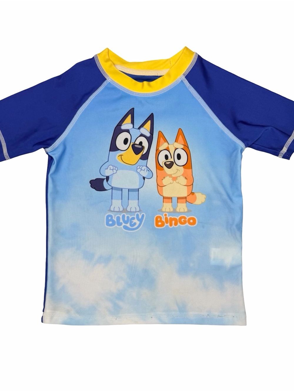 Bluey Swim Trunks And Rashguard‎ Set - Picture 2 of 4